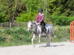 2009 Springundervisning